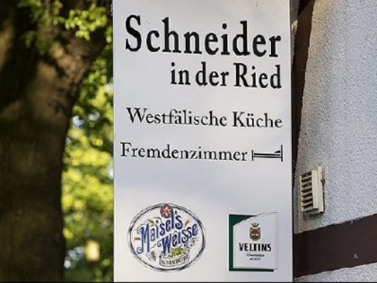 Foto: Schneider in der Ried